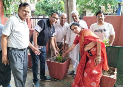 Tree plantation drive organized on World Environment Day
