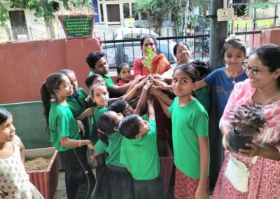 Tree plantation drive organized on World Environment Day